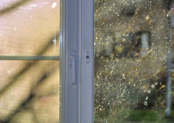 Sun,Shining,Through,Dirty,Window.,Spring,Cleaning.,Pollen,Allergy. Sun,Shining,Through,Dirty,Window.,Spring,Cleaning.,Pollen,Allergy.