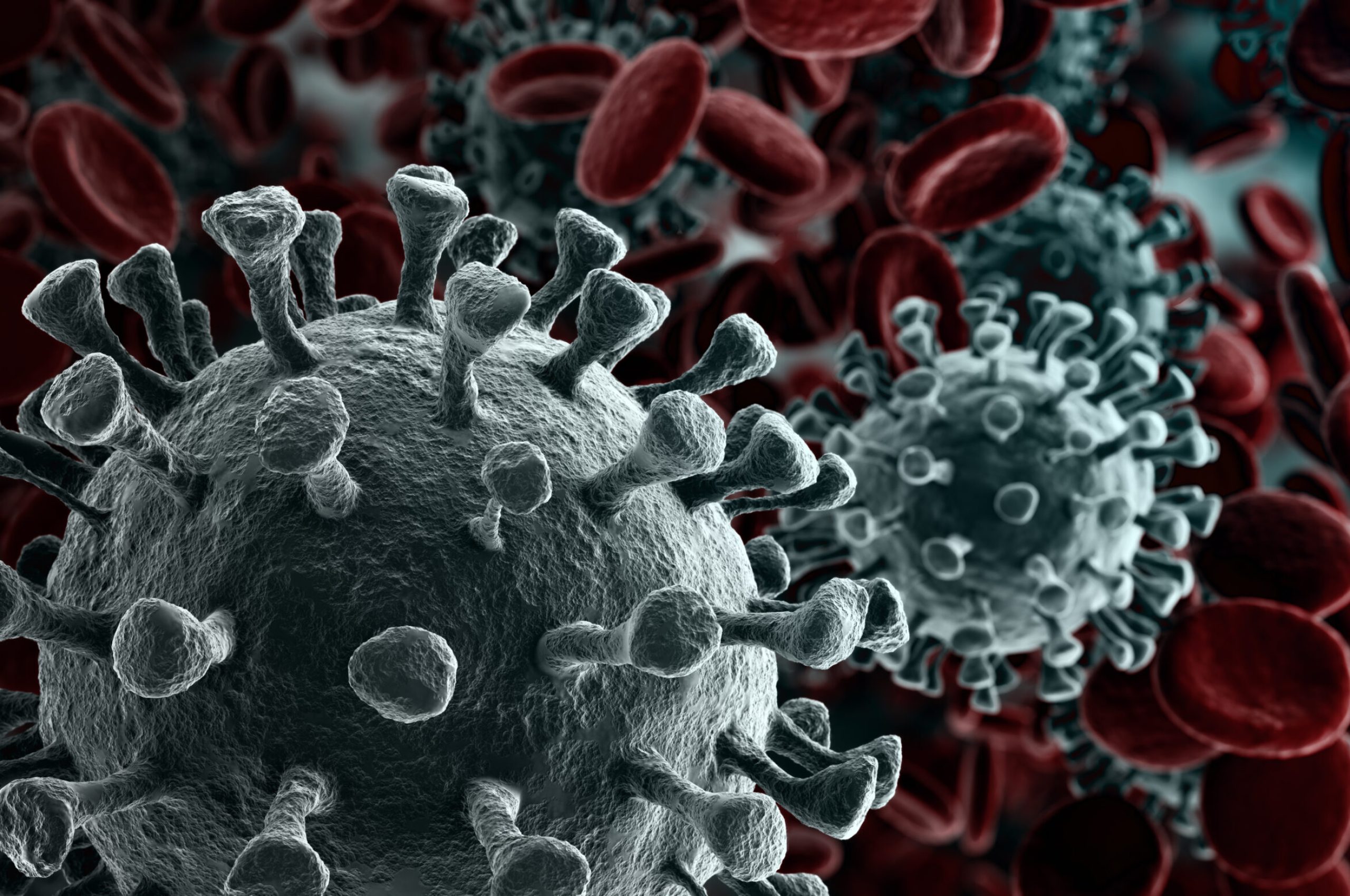 Coronavirus,2019-ncov,Novel,Coronavirus,Concept.,Microscope,Virus,Close,Up.,3d Coronavirus,2019-ncov,Novel,Coronavirus,Concept.,Microscope,Virus,Close,Up.,3d