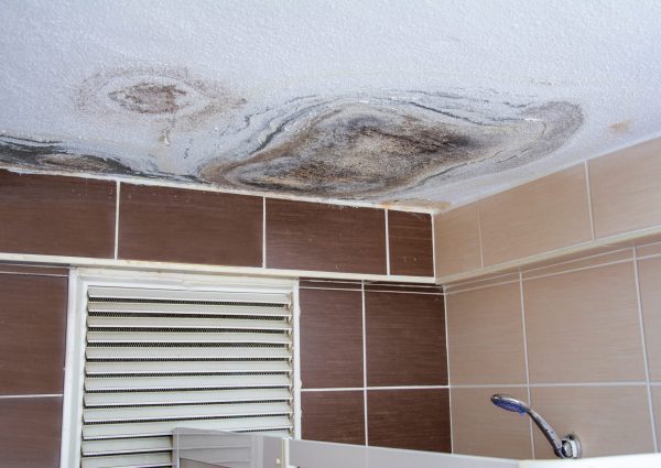 Molds,In,The,Bathroom,Caused,By,Dirty,Water,Leaking,From Molds,In,The,Bathroom,Caused,By,Dirty,Water,Leaking,From